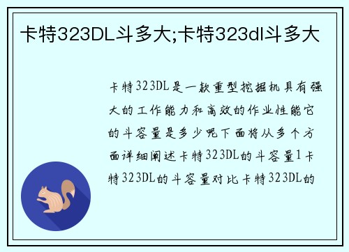 卡特323DL斗多大;卡特323dl斗多大
